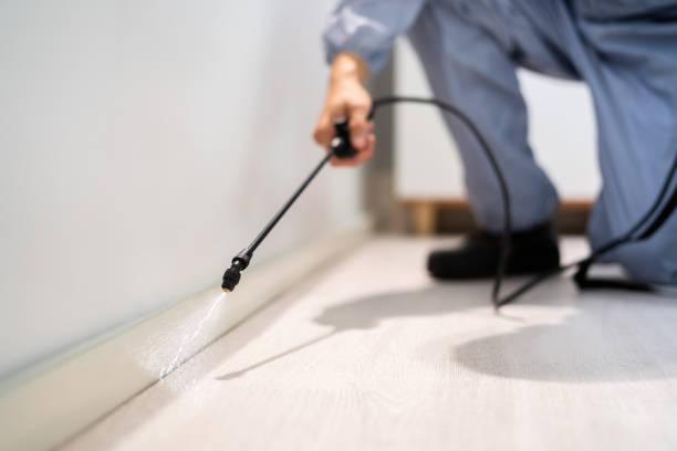 Licensed Cockroach Control service in Laingsburg, MI - Nex Pest Control