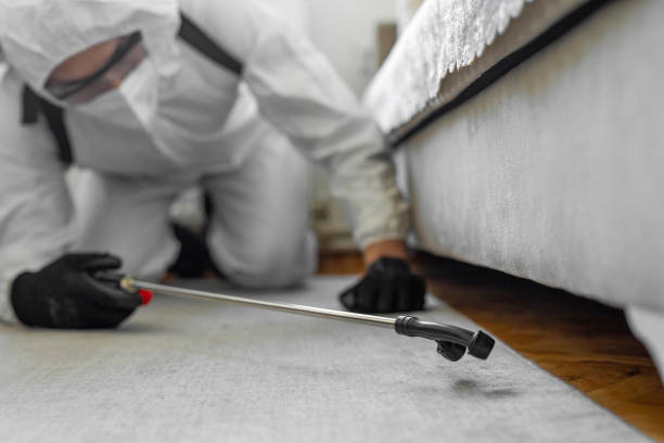 Professional Cockroach Control technician working in Laingsburg, MI
