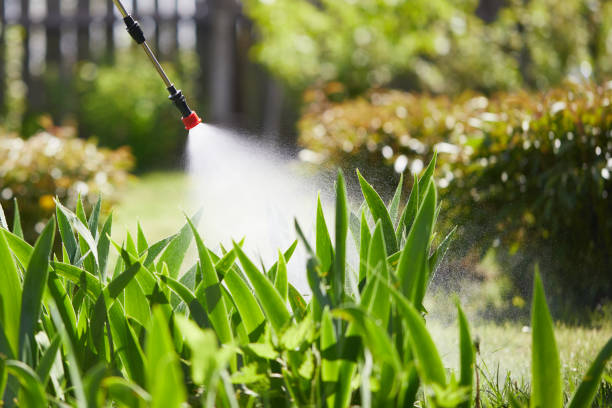 24/7 Emergency Cockroach Control experts in Laingsburg, MI