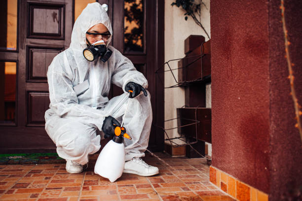 Reliable Cockroach Control contractor in Laingsburg, MI by Nex Pest Control