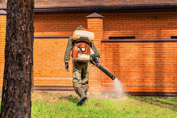 Trusted Cockroach Control service in Laingsburg, MI - Nex Pest Control